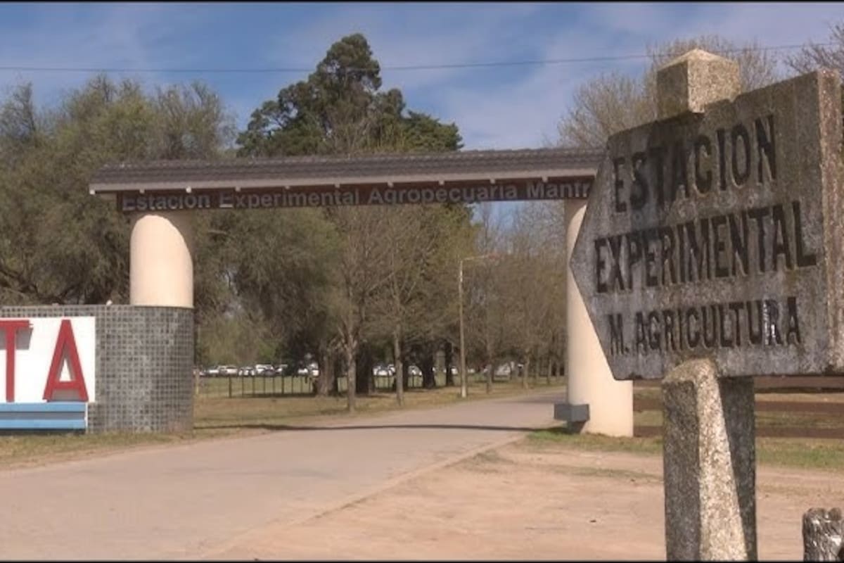 Ajuste en el INTA: prorrogan retiro voluntario y crece la incertidumbre territorial