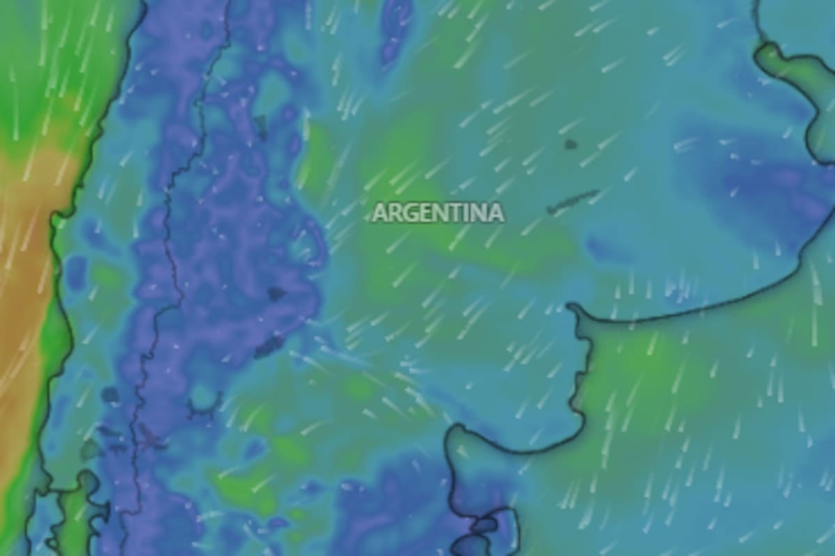 Alerta amarilla por niebla y lluvias: qué se espera y cómo prepararse