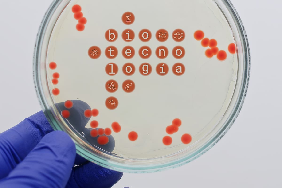 Biotecnología argentina: potencial en crecimiento y riesgos por la caída del financiamiento