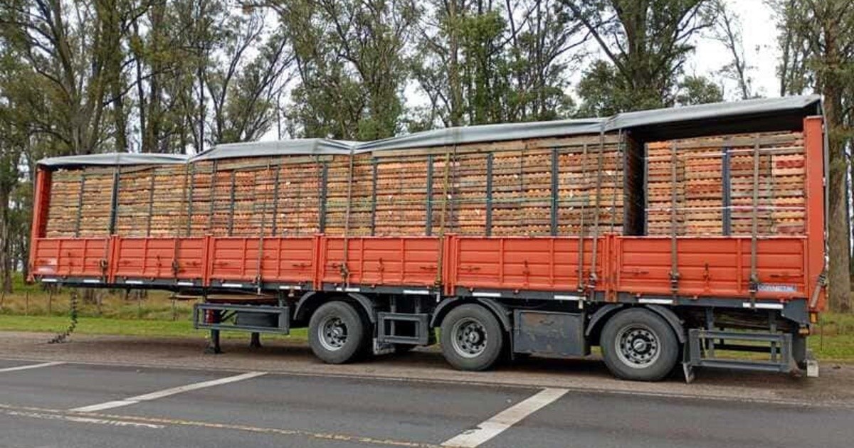 Camionero fue secuestrado y abandonado; hallaron el semirremolque en la ruta 9