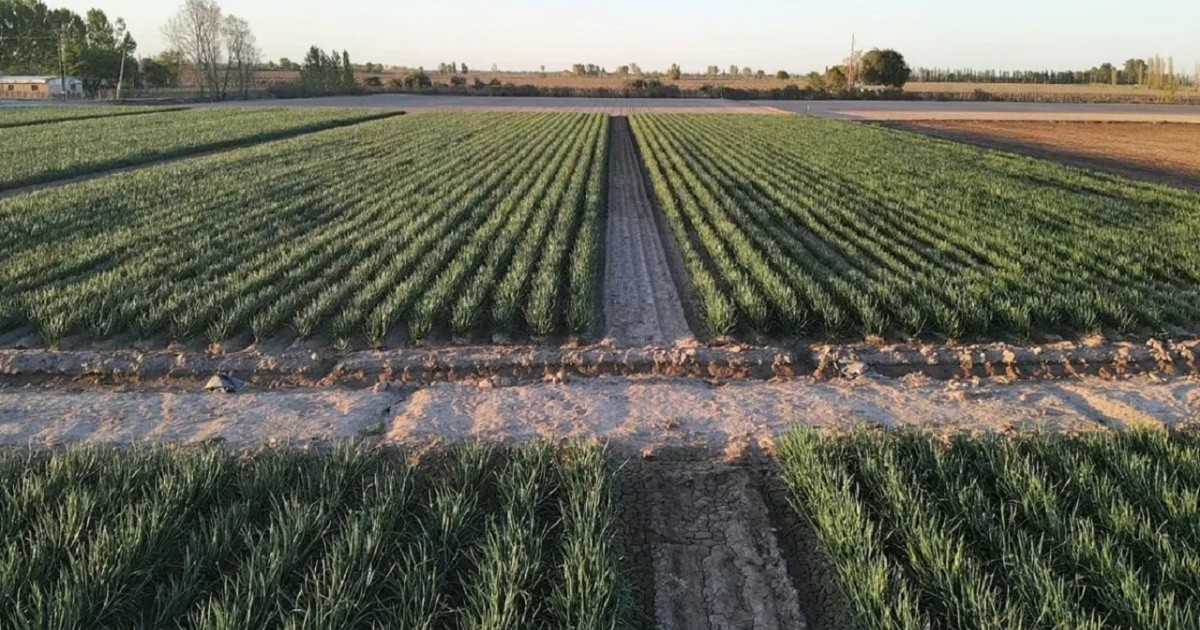 El Gobierno propone eliminar límites a la compra de tierras por extranjeros