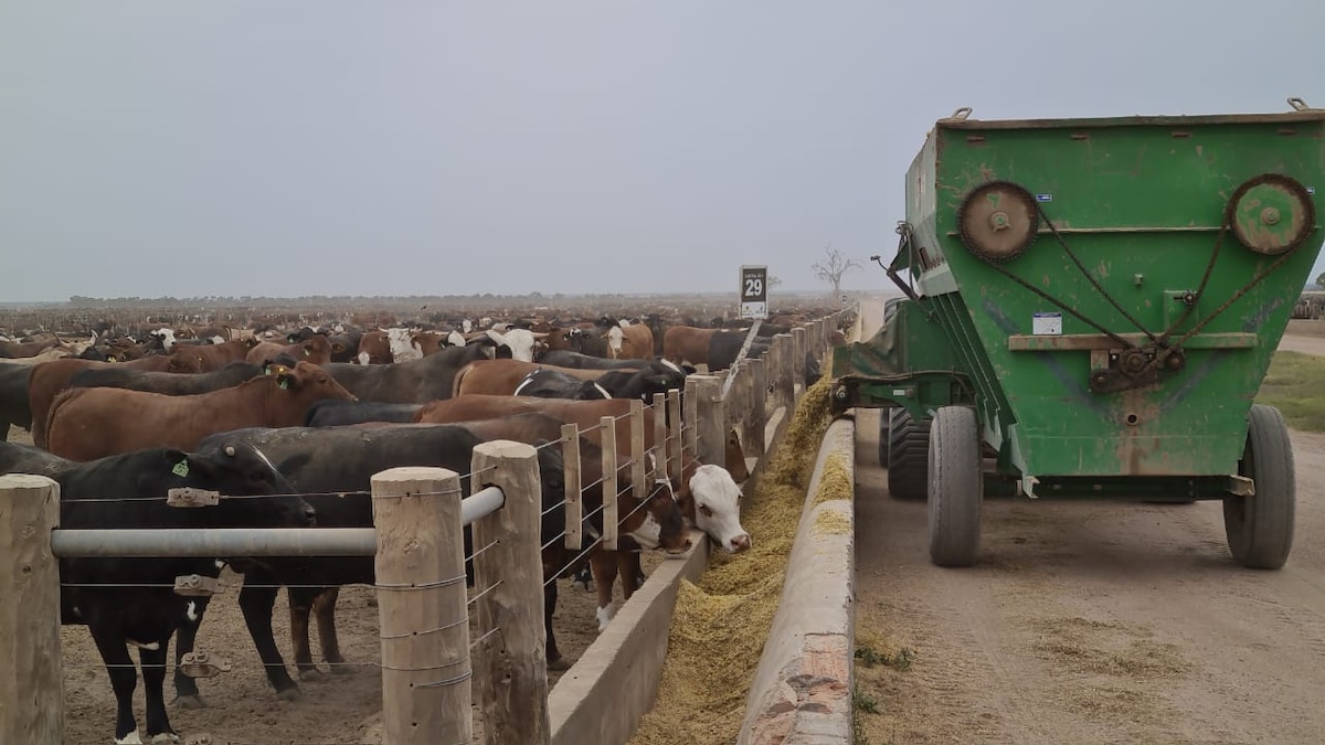 El piso de US$150.000 del RIMI que deja afuera parte del parque de maquinaria agrícola