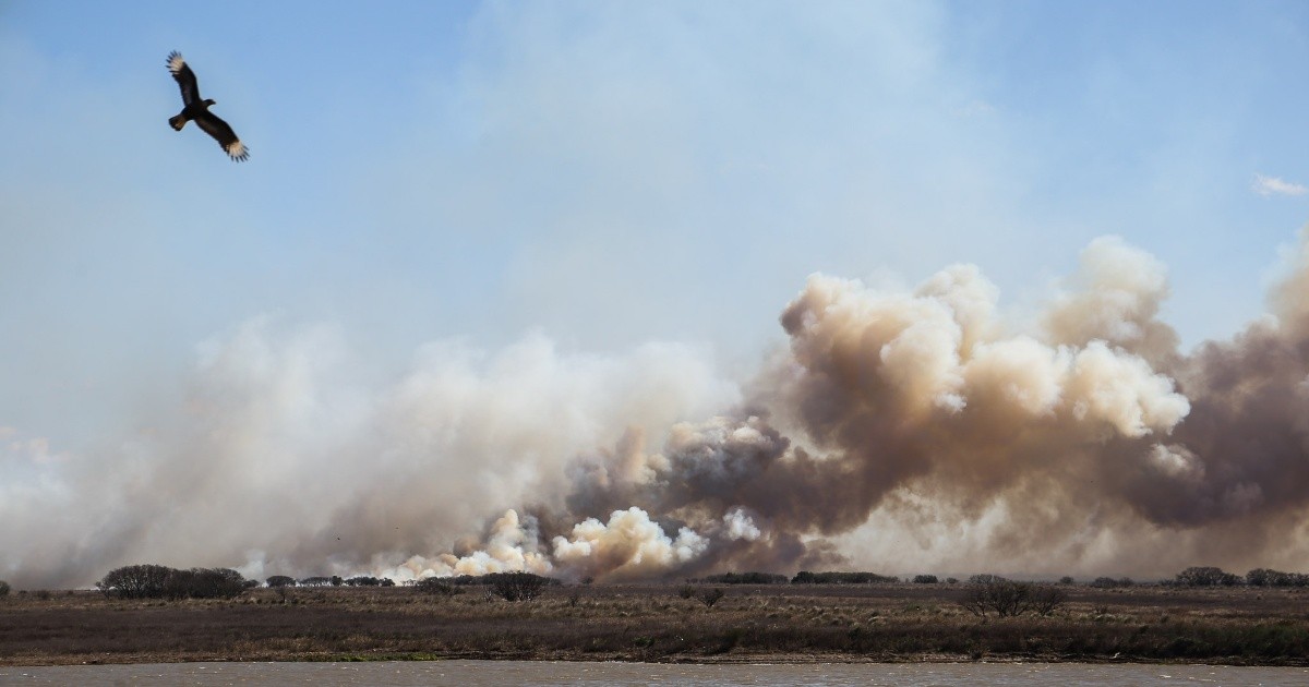 Falta de mérito por los incendios del Delta de 2022: qué dijo la justicia y qué falta
