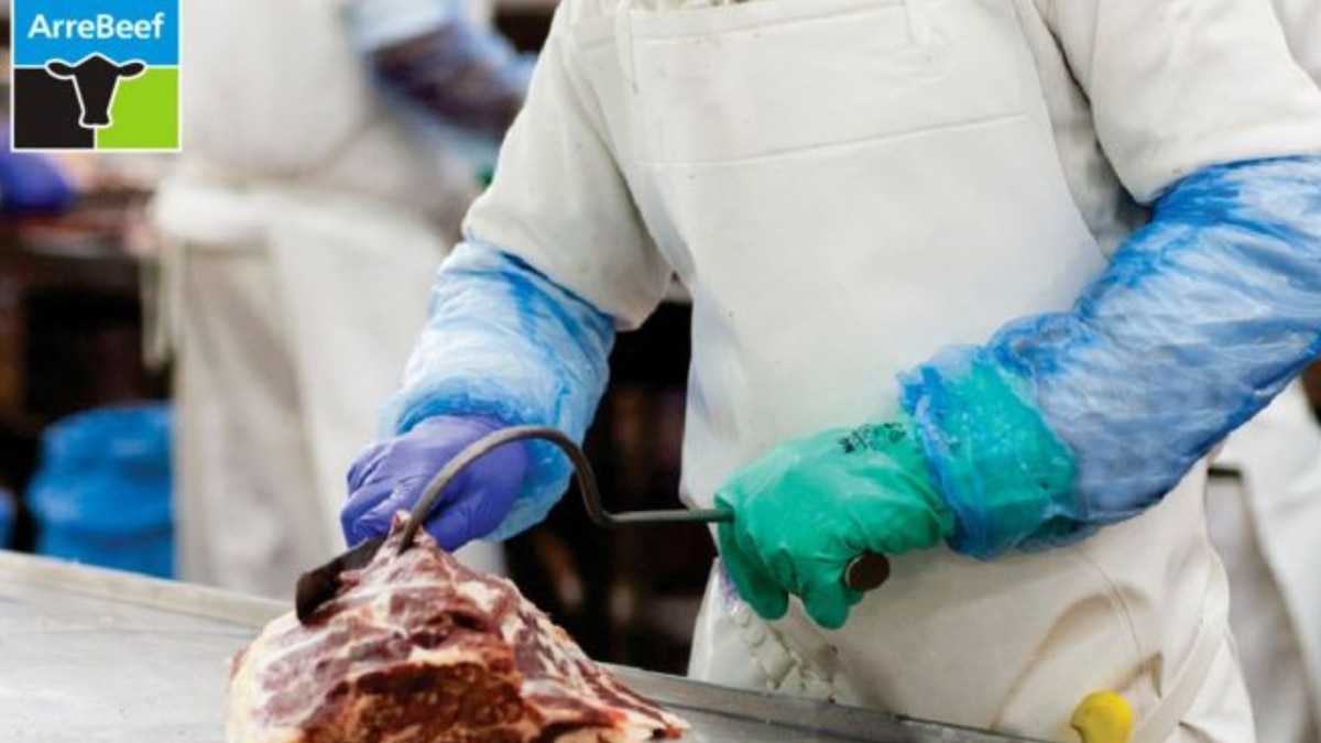 Investigación por cloranfenicol en envío a China pone foco en trazabilidad