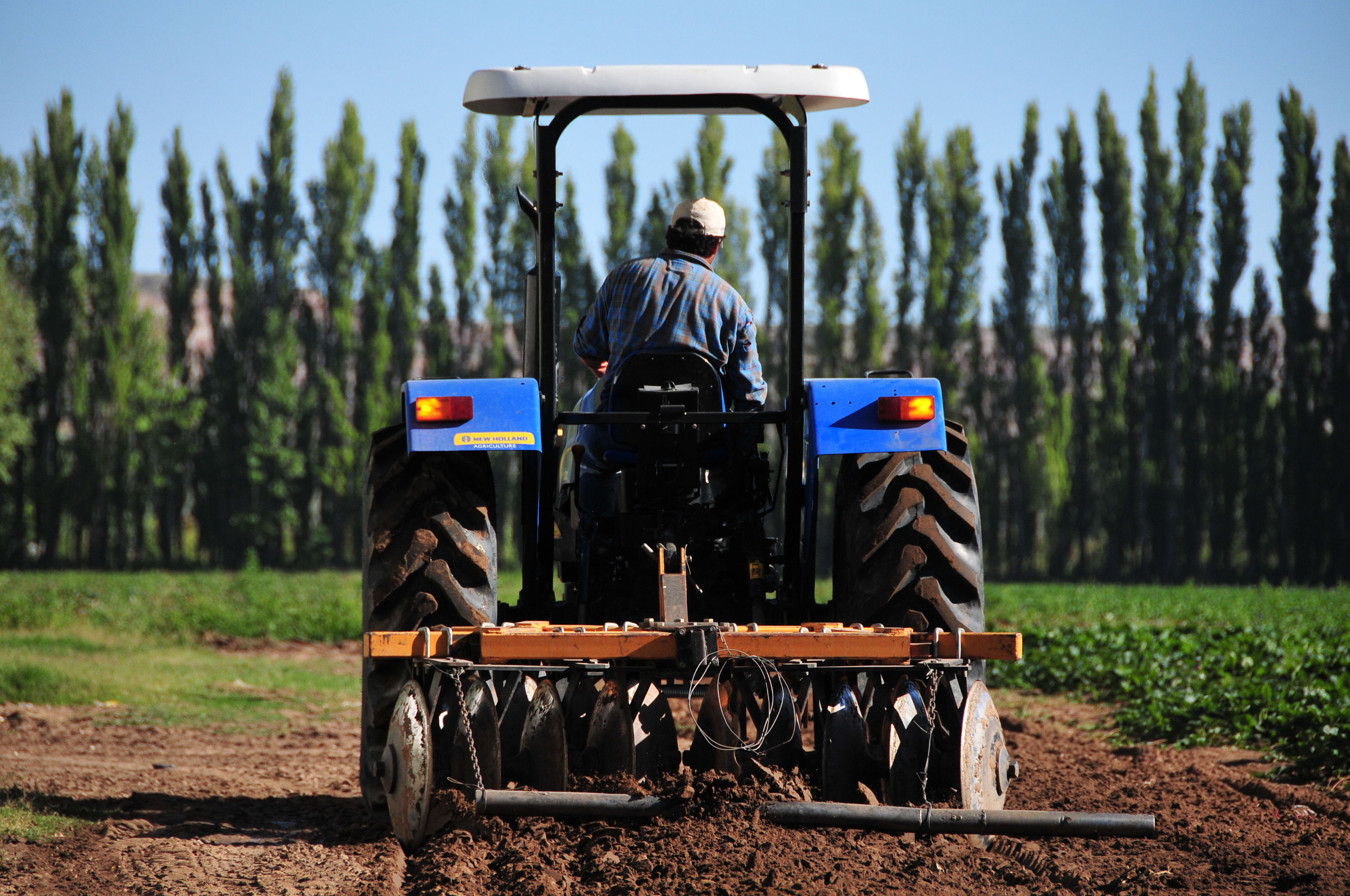 Foto de un obrero de la agricultura en la Ciudad de Plottier