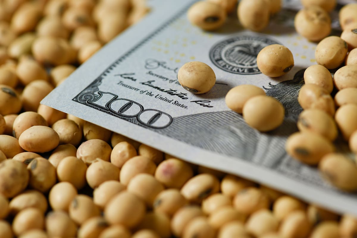 Reservas en alza: BCRA acumuló US$8.846 millones y suma 92 compras seguidas