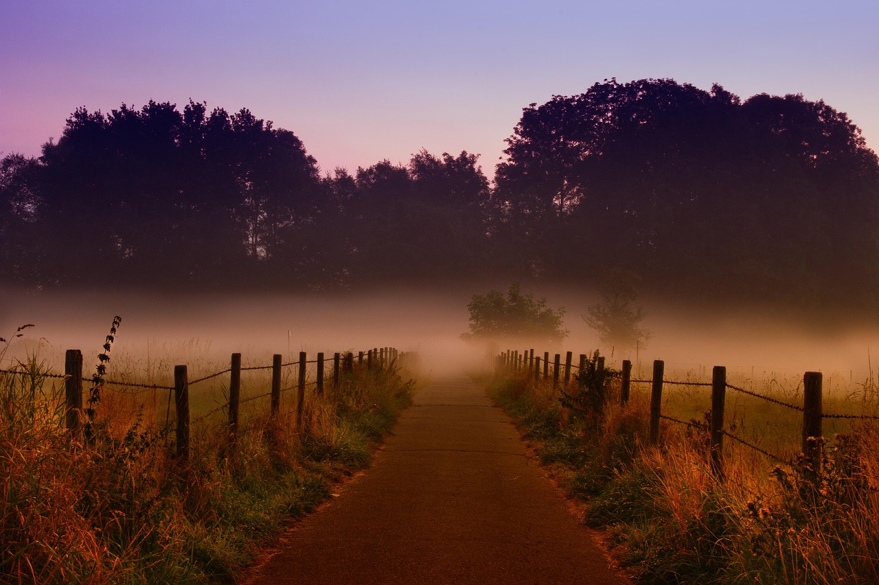 road, fence, dawn, fog, pasture fence, rural road, field, mist, path, mood, landscape, morning, forest, nature, road, road, road, fence, fence, fence, fog, path, path, path, path, path, forest