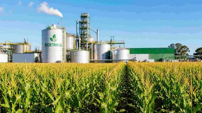 Secretaría de Energía fija precios de biocombustibles: sube el etanol de caña