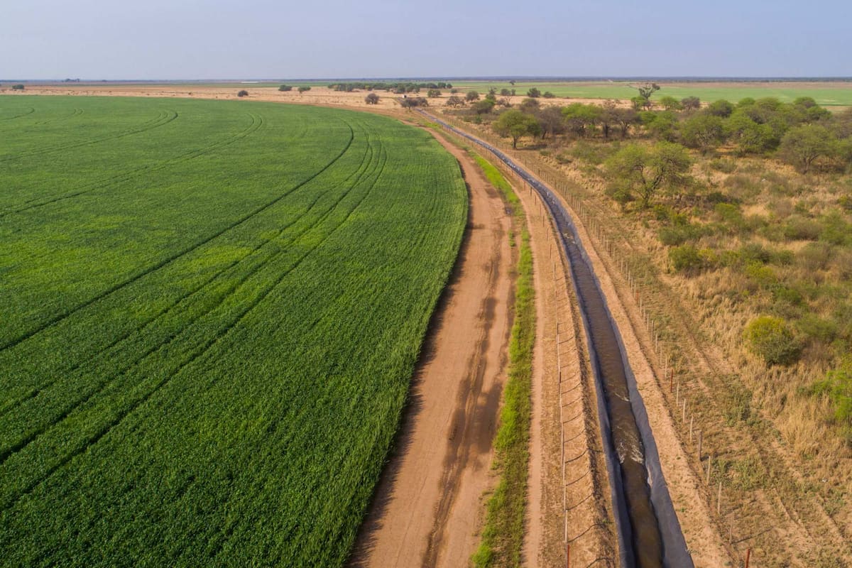 Un grupo agropecuario controla 20.000 hectáreas y apuesta al riego solar